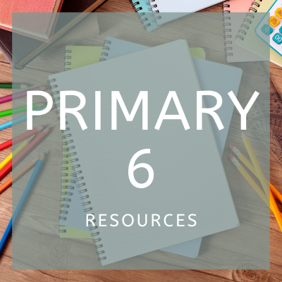 Primary 6