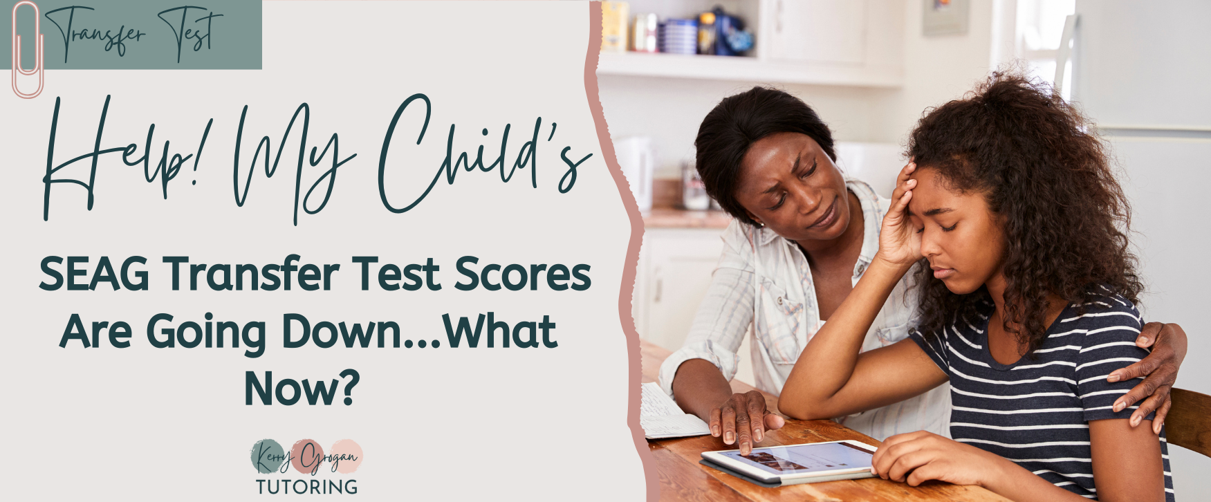 Help! My Child’s SEAG Transfer Test Scores Are Going Down…What Now?