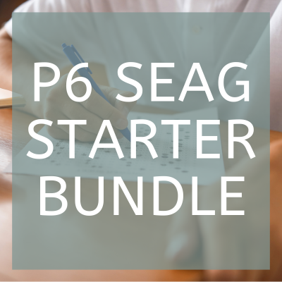 Primary 6 SEAG Starter Bundle