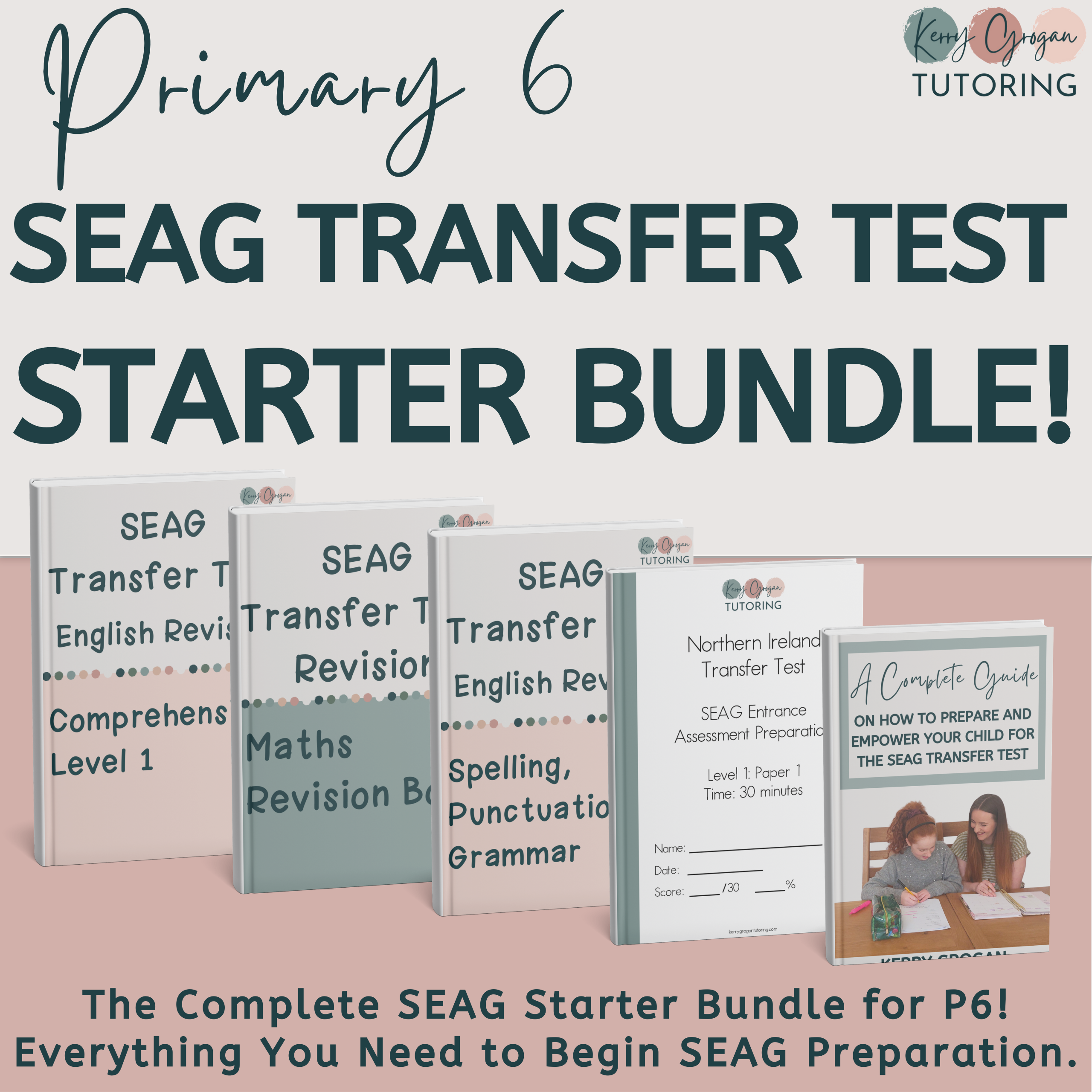 Primary 6 SEAG Transfer Test Bundle