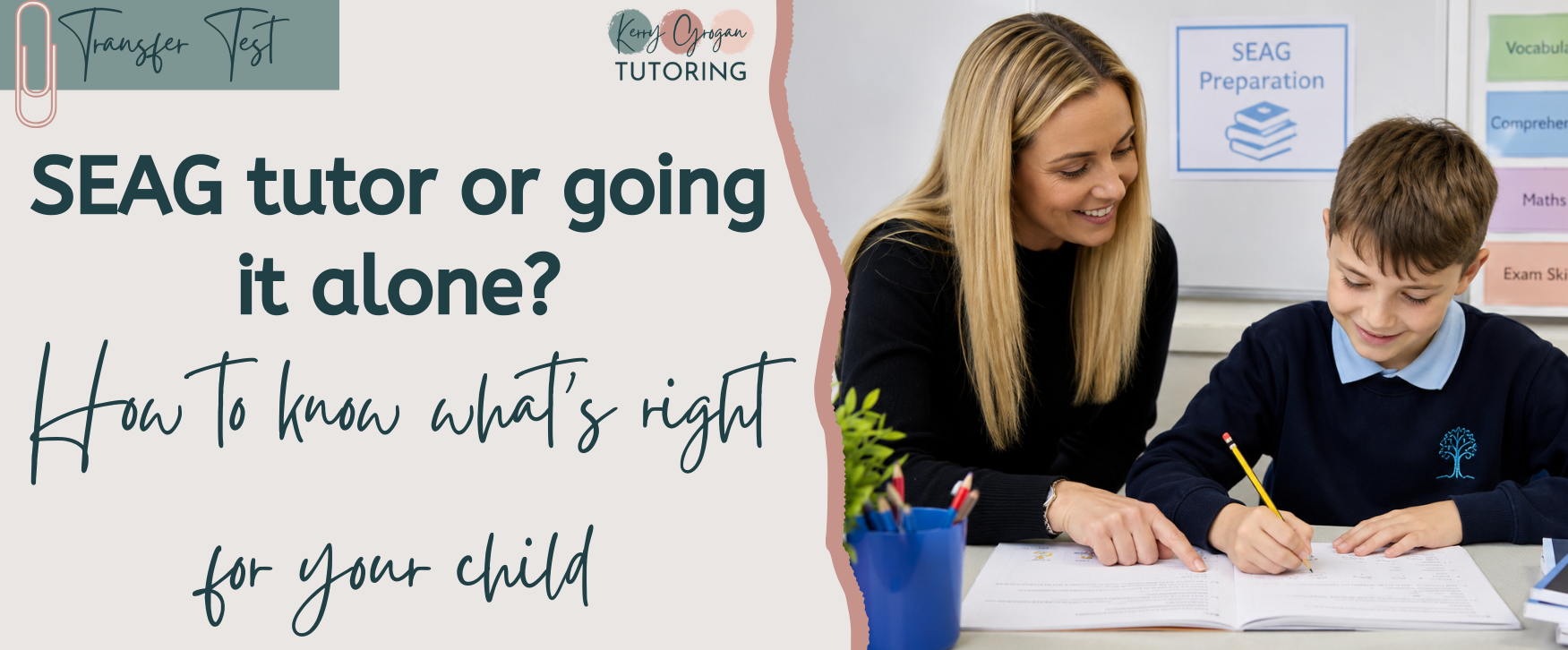 SEAG tutor or going it alone? How to know what's right for your child