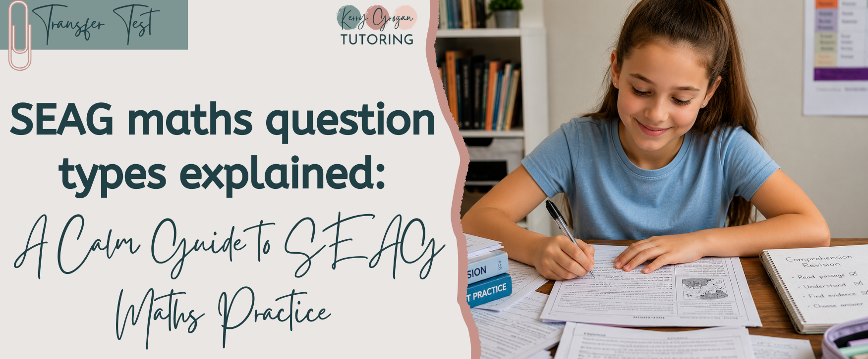 SEAG maths question types explained: A Calm Guide to SEAG Maths Practice